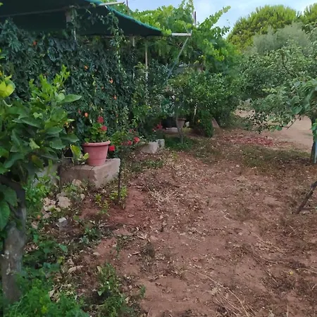 Ozena Countryside