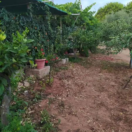 Ozena Countryside