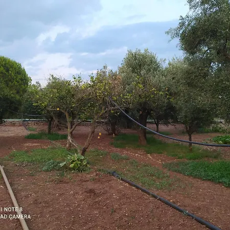 Ozena Countryside